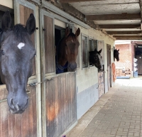 J&T Stables