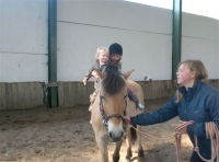 Manege Equibeach