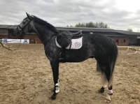 Poney Club Sterrebeek