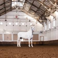 TH Stables